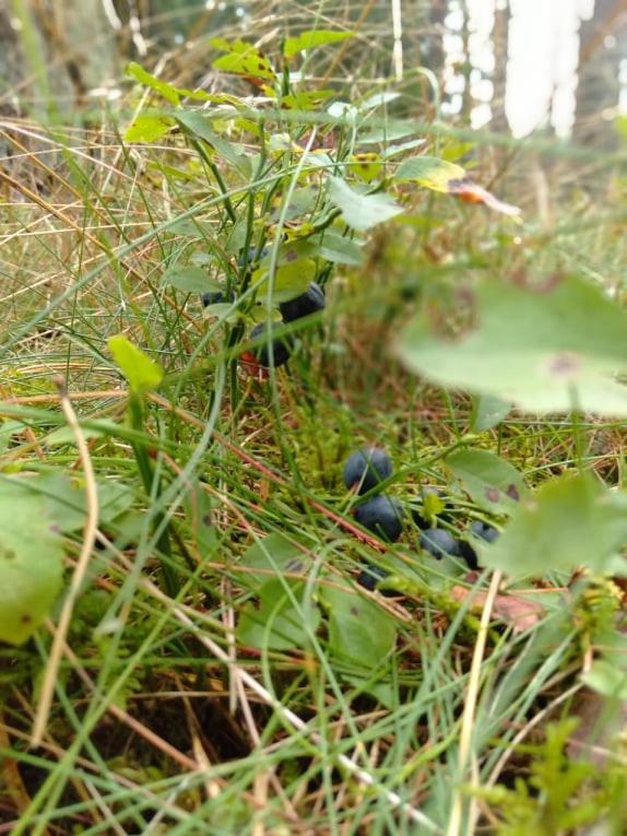 Dwa Jeziora Villa Wejsuny Buitenkant foto